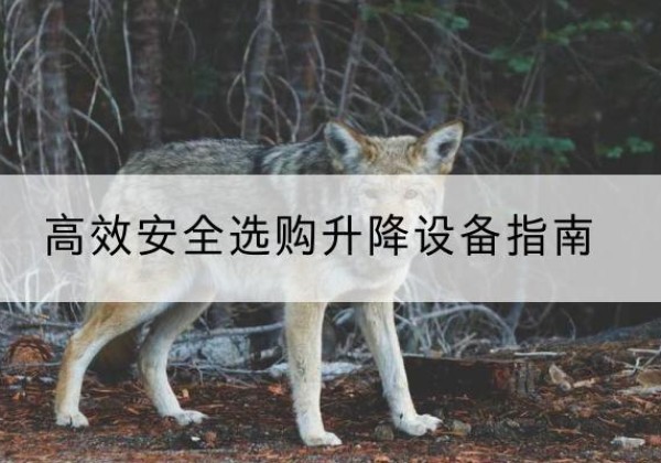 德昌升降货梯厂家推荐-*安全选购升降设备指南