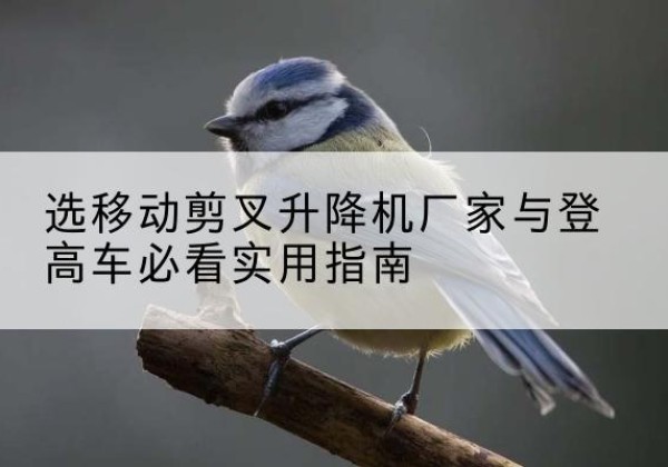 德昌电动升降机厂家-选移动剪叉升降机厂家与登高车必看实用指南