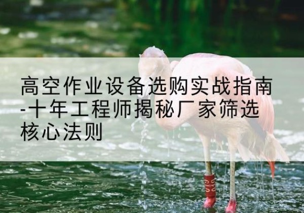 德昌剪叉式升降机厂家-高空作业设备选购实战指南-十年工程师揭秘厂家筛选核心法则